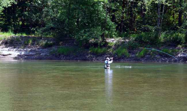 Fly-fishing for steelhead using a spey rod on the Sandy river.